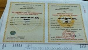 Chạy Bằng Đại Học Tại Chức Liệu Có Nên?