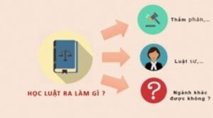 Học Văn Bằng 2 Luật Kinh Tế Có Nên Không?
