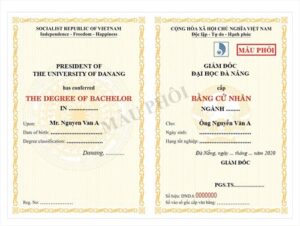 Làm Bằng Đại Học Tại Đà Nẵng Uy Tín, Chất Lượng