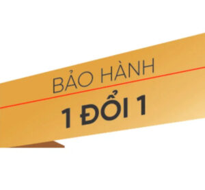 Làm Chứng Chỉ Tiếng Thái Lan Ở Đâu Giá Rẻ?