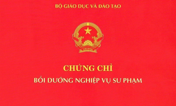 Chứng Chỉ Nghiệp Vụ Sư Phạm- Một Loại Chứng Chỉ Cần Thiết