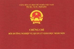 Chứng Chỉ Quản Lý Mầm Non Và Những Điều Cần Biết