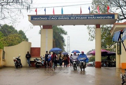 Làm Bằng Cao Đẳng Sư Phạm Tiểu Học Có Dễ Xin Việc Không?