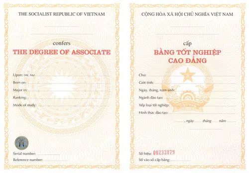 Làm Bằng Cao Đẳng Sư Phạm Tiểu Học Có Dễ Xin Việc Không?