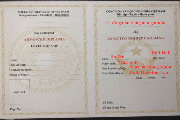 Làm Bằng Cao Đẳng Y Dược Uy Tín, Chất Lượng