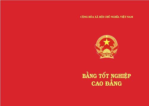 Làm Bằng Cao Đẳng Luật Hình Sự Và Những Điều Cần Biết