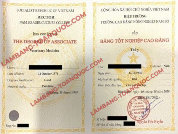 Làm Bằng Cao Đẳng Phôi Thật Bao Xin Việc Giá Từ 2 Triệu