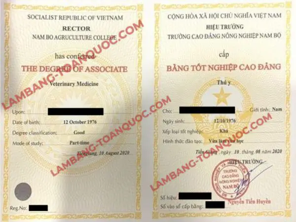 Làm Bằng Cao Đẳng Phôi Thật Bao Xin Việc Giá Từ 2 Triệu