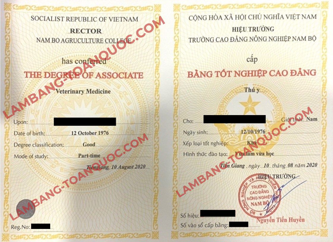 Làm Bằng Cao Đẳng Phôi Thật Bao Xin Việc Giá Từ 2 Triệu