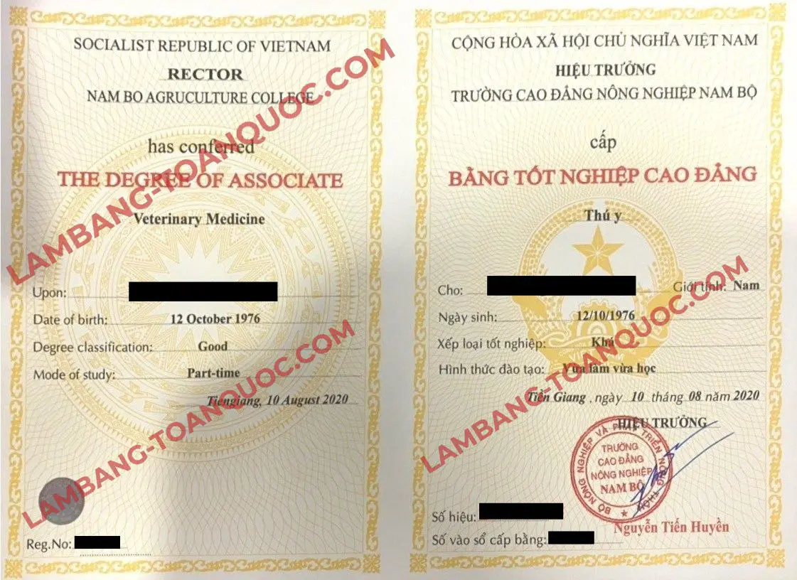 Làm Bằng Cao Đẳng Phôi Thật Bao Xin Việc Giá Từ 2 Triệu