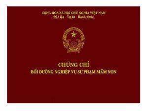 Làm Chứng Chỉ Sư Phạm Giá Rẻ Tại Làm Bằng Đại Học