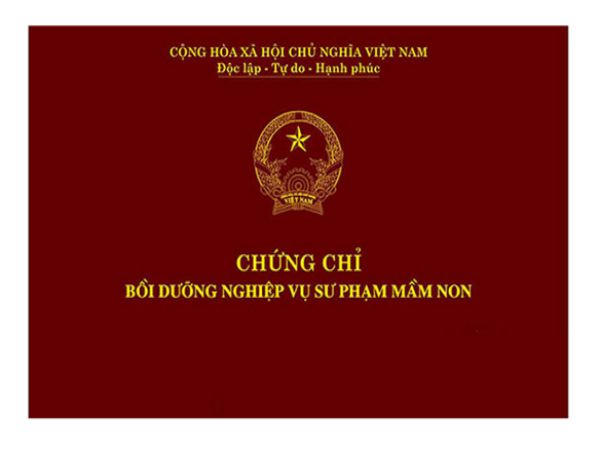 Làm Chứng Chỉ Sư Phạm Giá Rẻ Tại Làm Bằng Đại Học