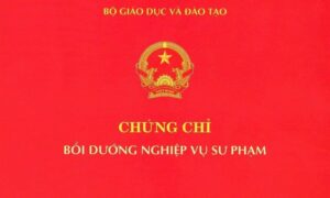 su pham mat sau