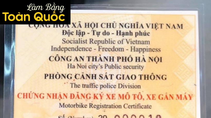 Làm lại cavet xe nhanh tại Làm Bằng Đại Học