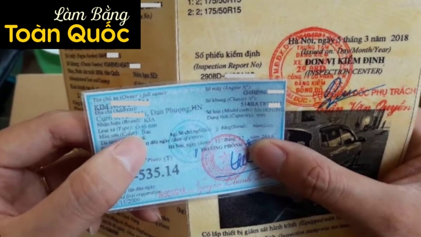 Sử dụng cà vẹt xe làm giả có sao không ?