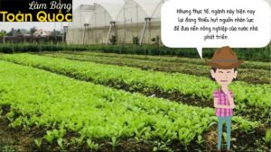 Làm Bằng Cao Đẳng Nông Nghiệp - Lựa Chọn Đúng Và Thông Minh