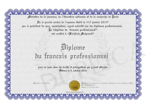 Làm chứng chỉ tiếng Pháp DFP (Diplôme de Français Professionnel)