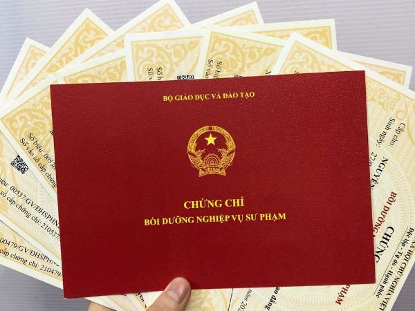 lam chung chi day anh van thieu nhi