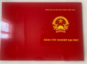 Mẫu bằng đại học - Mặt sau