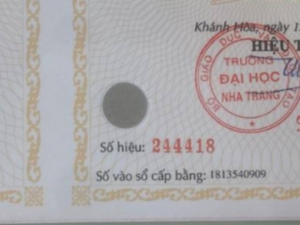 Kiểm tra số hiệu trên bằng đại học